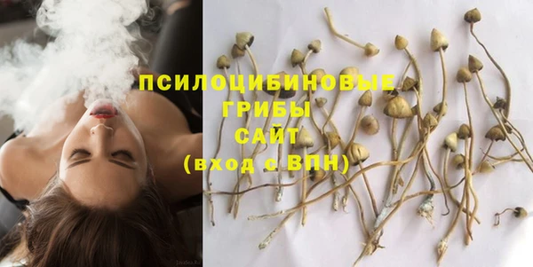 mdpv Надым