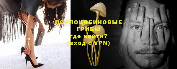 mdpv Надым