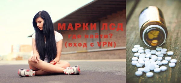 прущие грибы Наволоки