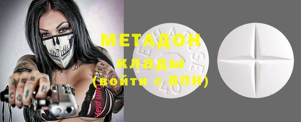 прущие грибы Михайловка