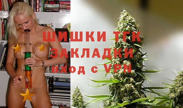 прущие грибы Михайловка