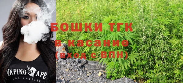 прущие грибы Наволоки