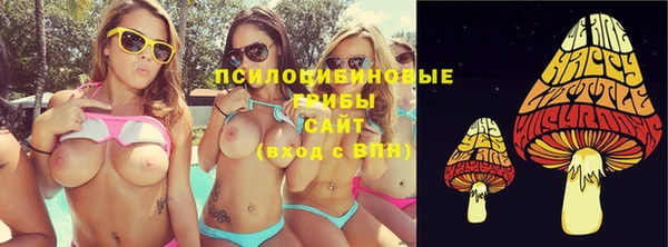 прущие грибы Наволоки