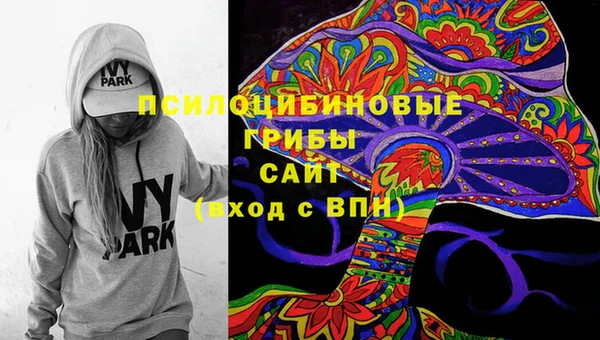 прущие грибы Михайловка